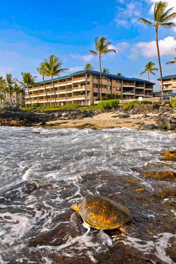 אפרטהוטל קאילואה-קונה Kona Reef Hawaii By Raintree מראה חיצוני תמונה